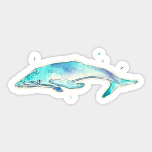 Beatrix - Watercolor Whale Sticker